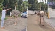 Kerala: कोच्चि में आवासीय क्षेत्र में अप्रत्याशित रूप से घुसा शुतुरमुर्ग, वायरल वीडियो आया सामने