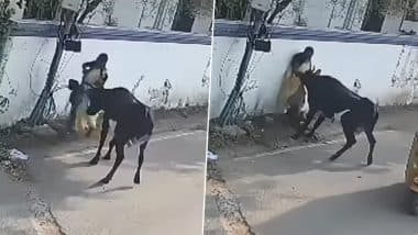 बच्चे को बचाने के लिए सांड से भिड़ गई मां, जानवर ने हवा में उछालकर महिला को पटका और फिर... (Watch Viral Video)