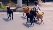 Viral Video: बीच सड़क पर शान से कुत्ते की सवारी करती दिखी बच्ची, सुरक्षा देने के लिए पीछे चलता रहा पूरा झुंड
