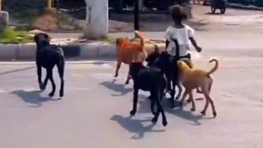 Viral Video: बीच सड़क पर शान से कुत्ते की सवारी करती दिखी बच्ची, सुरक्षा देने के लिए पीछे चलता रहा पूरा झुंड