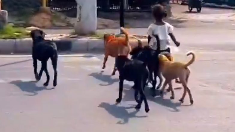 Viral Video: बीच सड़क पर शान से कुत्ते की सवारी करती दिखी बच्ची, सुरक्षा देने के लिए पीछे चलता रहा पूरा झुंड