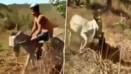 Viral Video: मौज-मस्ती के लिए शख्स ने बेरहमी से की गधे की पिटाई, जानवर ने अगले ही पल सिखाया ऐसा सबक कि…