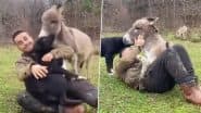 Viral Video: कुत्ते को प्यार करते देख शख्स के पास जा पहुंचा गधा, दुलार पाने के लिए करने लगा ऐसी हरकत
