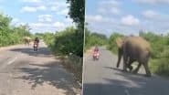Viral Video: जंगल के बीच बनी सड़क से गुजर रहे स्कूटी सवार को देख हाथी को आया गुस्सा, फिर जो हुआ...