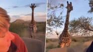 Viral Video: जंगल सफारी के दौरान फोटो क्लिक करने वाले पर्यटकों के पीछे पड़ा गुस्सैल जिराफ, बचने के लिए गाड़ी दौड़ाने लगा ड्राइवर