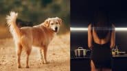Woman Eats Dog Meat: कुत्ते को लिया गोद, फिर मारकर खा गई उसका मांस, रूह कंपा देगी महिला की खौफनाक हरकत