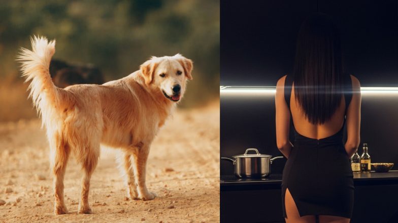 Woman Eats Dog Meat: कुत्ते को लिया गोद, फिर मारकर खा गई उसका मांस, रूह कंपा देगी महिला की खौफनाक हरकत