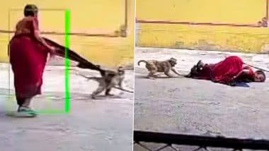 Viral Video: बुजुर्ग महिला पर कहर बनकर टूटी बंदरों की टोली, अटैक कर जमीन पर गिराया और फिर...