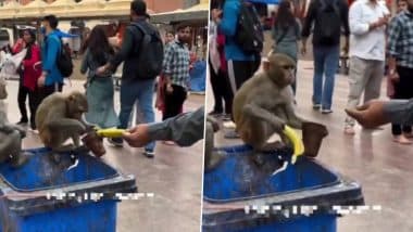 Viral Video: ग्लास में बची लस्सी का स्वाद ले रहे बंदर को शख्स ने दिया केला, फिर हुआ कुछ ऐसा कि हंसते-हंसते लोटपोट हो जाएंगे आप