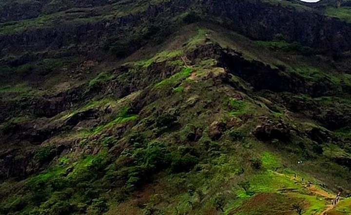 Monsoon Trek: मानसून के दौरान ट्रेकिंग के लिए मशहूर हैं महाराष्ट्र की ये खूबसूरत जगहें, आप भी जरूर जाएं