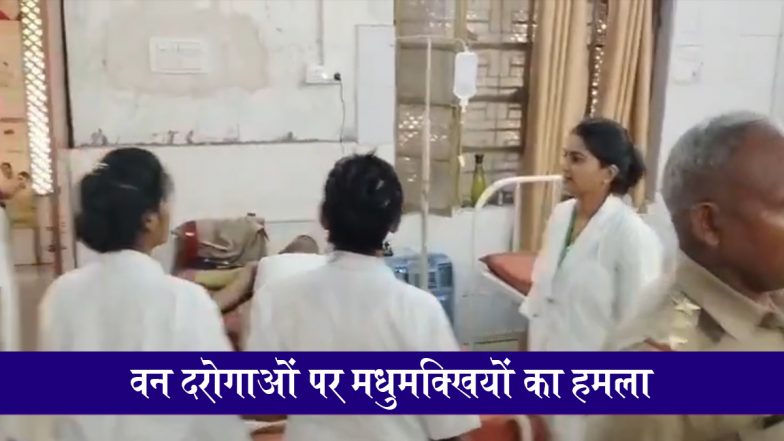 VIDEO: यूपी के मिर्जापुर में मधुमक्खियों का हमला, जंगल विजिट पर गए 54 वन दरोगाओं पर अटैक, 20 घायल, 4 की हालत गंभीर!