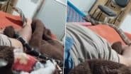 Viral Video: आराम से सो रहा था शख्स तभी उसके सिरहाने आकर बैठ गया विशालकाय किंग कोबरा, फिर जो हुआ…