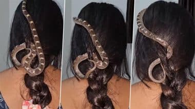 दीदी, ये कौन सा शौक है? महिला के बालों में लिपटा दिखा जहरीला करैत, सिर पर सांप को रेंगते देख उड़े लोगों के होश (Watch Viral Video)