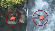 Pahalgam Terrorist Attack: जम्मू कश्मीर के कुलगाम में सुरक्षा बलों से बचने के लिए नदी में कूदा आतंकियों का मददगार, डूबने से मौत; VIDEO आया सामने