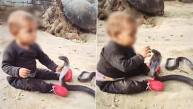 खतरनाक किंग कोबरा के साथ मजे से खेलता दिखा छोटा बच्चा, Viral Video देख पैरों तले खिसक जाएगी जमीन