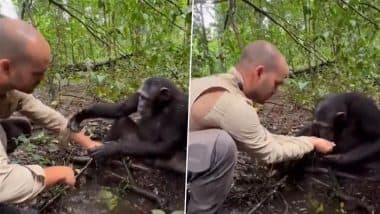 Viral Video: पानी पीने के लिए चिंपैंजी ने मांगी शख्स से मदद, फिर जानवर ने इस तरह से चुकाया एहसान