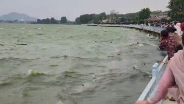 Srinagar: डल झील में पलटी शिकारा; पर्यटक मदद के लिए चिल्लाए, तेज हवाओं ने बढ़ाई मुश्किलें; Video