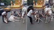 Video: जमीन पर गर्मी से बेहोश पड़ा था घोड़ा, हेंडलर ने पीटा, घसीट कर उठाया; अब जांच में जुटी कोलकाता पुलिस