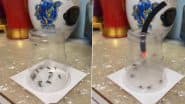 ग्लास के अंदर कैद करके ढेर सारे मच्छरों को शख्स ने दी खतरनाक मौत, Viral Video देख दंग रह जाएंगे आप