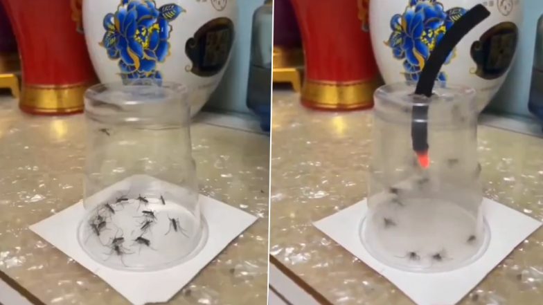 ग्लास के अंदर कैद करके ढेर सारे मच्छरों को शख्स ने दी खतरनाक मौत, Viral Video देख दंग रह जाएंगे आप