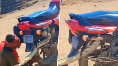Viral Video: बाइक के इंजन में छुपे अजगर को खींचकर बाहर निकालता दिखा शख्स, रोंगटे खड़े कर देने वाला वीडियो हुआ वायरल
