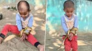 Viral Video: छोटे से बच्चे को सांप ने बुरी तरह से जकड़ा, खुद को नागराज से छुड़ाने की कोशिश करता दिखा मासूम