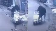 Video: ऋषिकेश की गलियों में वायरल स्कूटी चलाने लगा सांड; सीसीटीवी में कैद हुई अब तक की सबसे अनोखी घटना!