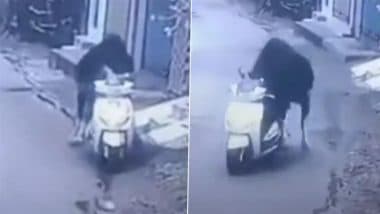 Video: ऋषिकेश की गलियों में वायरल स्कूटी चलाने लगा सांड; सीसीटीवी में कैद हुई अब तक की सबसे अनोखी घटना!