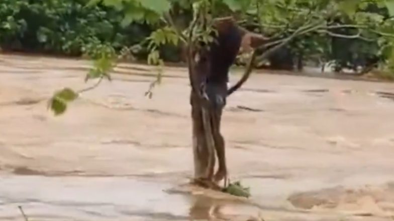 Jamshedpur: नदी में नहाने के लिए कूदा युवक, तेज बहाव में 3 किलोमीटर तक बहा, आखिर एक पेड़ से लटककर लिया सहारा, जमशेदपुर का वीडियो आया सामने;VIDEO