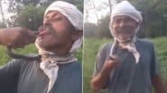 Snake Bites Man: सांप को गले में लपेटकर खेल रहा था शख्स, मुंह पर काटा, अब ICU में किया गया एडमिट, अमरोहा जिले का वीडियो आया सामने (Watch Video)