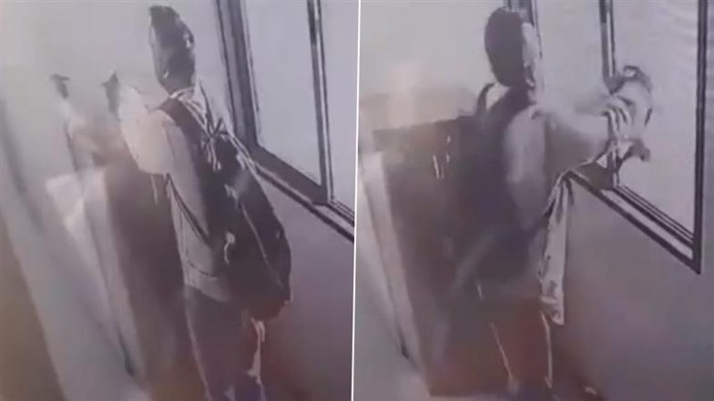 Man Throws Off Cat From 9th Floor: मुंबई के मलाड में बिल्डिंग की 9वीं मंजिल से शख्स ने बिल्ली को फेंका, चौंकाने वाला CCTV फुटेज आया सामने