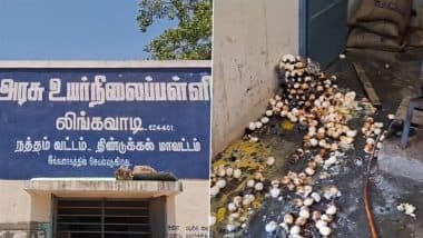 Tamil Nadu Gas Cylinder Blast: लिंगवाडी में सरकारी स्कूल कैंटीन में एलपीजी सिलेंडर फटने से 2 रसोइये घायल, जांच शुरू (देखें वीडियो)