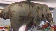 Elephant Enters Convenience Store: खाओ याई नेशनल पार्क का हाथी थाई सुविधा स्टोर में घुसा, अलमारियों से स्नैक्स खाता हुआ दिया दिखाई,- देखें वायरल वीडियो