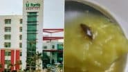 Cockroach Found in Khichdi: महिला मरीज की खिचड़ी में मिला कॉकरोच, नोएडा के प्राइवेट हॉस्पिटल पर परिजन ने लगाया आरोप, वीडियो आया सामने (Watch Video)
