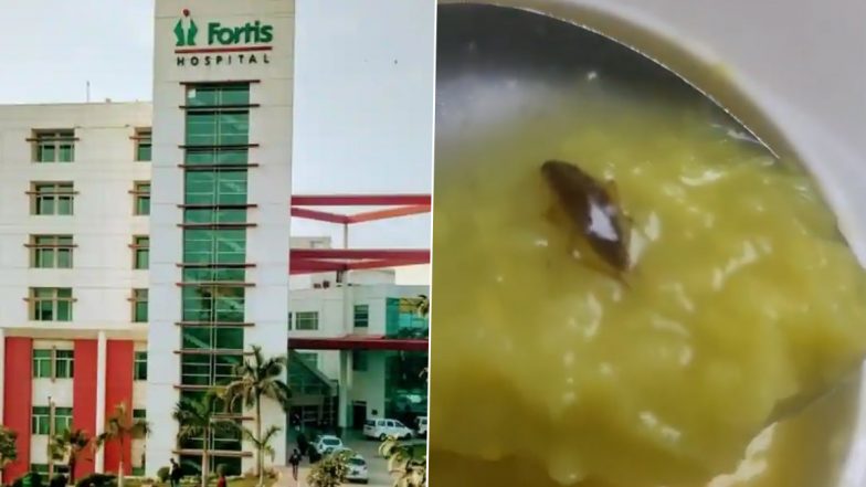 Cockroach Found in Khichdi: महिला मरीज की खिचड़ी में मिला कॉकरोच, नोएडा के प्राइवेट हॉस्पिटल पर परिजन ने लगाया आरोप, वीडियो आया सामने (Watch Video)