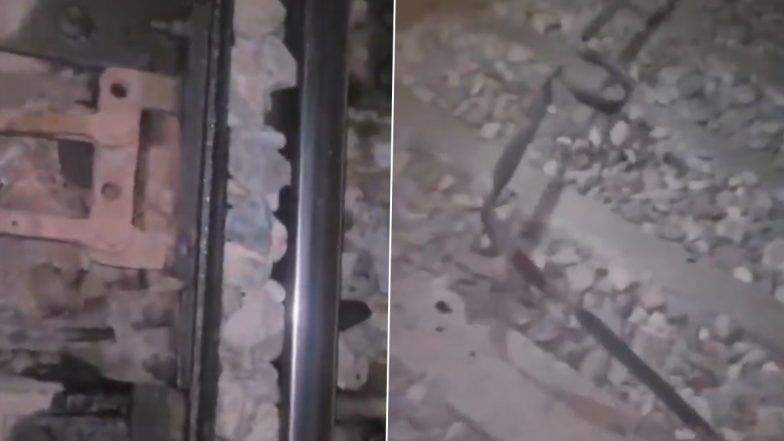 UP: ट्रेन को पटरी से उतारने की साजिश नाकाम, ट्रैक पर रखे गए थे लोहे के एंगल; लोको पायलट की सतर्कता से बची यात्रियों की जान (Watch Video)