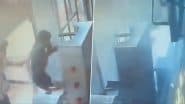 Bomb Attack in Prayagraj: बाइक पर सवार बदमाशों ने रेस्टोरेंट के बाहर किया बम से हमला, लोग जान बचाकर भागे, प्रयागराज का वीडियो आया सामने (Watch Video)