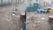 Bhavnagar Rain: गुजरात के भावनगर में बारिश का कहर, शिहोर तहसील के कई गांवों में पानी भरा, ऑटो रिक्शा और दुपहियां बहे; VIDEO