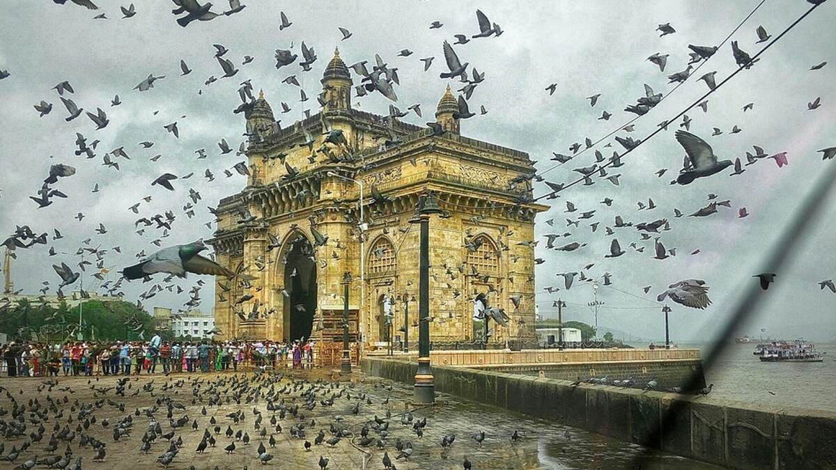 Mumbai Best City for Love: हर शख्स को मिल रहा प्यार! दुनिया की सबसे रोमांटिक सिटी बनी मुंबई, मिला बेस्ट सिटी फॉर डेटिंग और लव का खिताब Mumbai Best City for Love: हर शख्स को मिल रहा प्यार! दुनिया की सबसे रोमांटिक सिटी बनी मुंबई, मिला बेस्ट सिटी फॉर डेटिंग और लव का खिताब