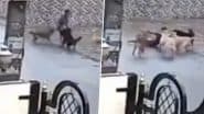 Dog Attack on Child: उदयपुर में आवारा कुत्तों ने किया 8 साल के बच्चे पर हमला, शरीर को नोचा, उदयपुर का सीसीटीवी फुटेज आया सामने;VIDEO