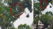 Bengaluru: शराब के नशे में धुत व्यक्ति कटहल चुराने की कोशिश में 50 फीट नीचे गिरा, गंभीर रूप से घायल- देखें वायरल वीडियो