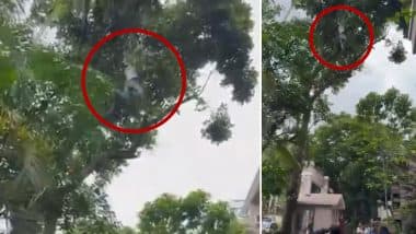 Bengaluru: शराब के नशे में धुत व्यक्ति कटहल चुराने की कोशिश में 50 फीट नीचे गिरा, गंभीर रूप से घायल- देखें वायरल वीडियो