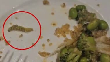 Caterpillar Found in Salad: गुड़गांव में IAS दंपति के सलाद में निकला कैटरपिलर, रेस्तरां को खाद्य सुरक्षा विभाग ने भेजा नोटिस; VIDEO