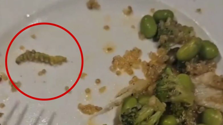 Caterpillar Found in Salad: गुड़गांव में IAS दंपति के सलाद में निकला कैटरपिलर, रेस्तरां को खाद्य सुरक्षा विभाग ने भेजा नोटिस; VIDEO