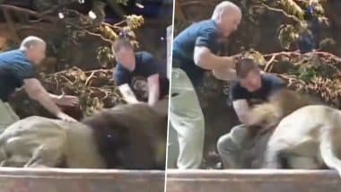 Lion Attacks Zookeeper: शेर की आंख में आंख मिलाकर लगातार घूर रहा था जूकीपर, भड़के लायन ने कर दिया हमला- देखें वीडियो Lion Attacks Zookeeper: शेर की आंख में आंख मिलाकर लगातार घूर रहा था जूकीपर, भड़के लायन ने कर दिया हमला- देखें वीडियो