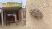 Grenade Found in School: स्कूल के ग्राउंड में डाली गई मिट्टी में मिला हैंड ग्रेनेड, हरदोई जिले के फतेहपुर चौगवां गांव की घटना से प्रशासन में मचा हड़कंप (Watch Video)