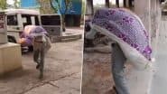 Jhansi Shocker: मानवता शर्मसार! झांसी के मेडिकल कॉलेज की मोर्चरी में 18 दिन से सड़ रही थी लावारिश लाश, ड्राइवर ने 100 मीटर पर जाकर किया अंतिम संस्कार (Watch Video)