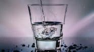 Water After Food Disadvantages: खाने के तुरंत बाद पानी पीना जहर समान, होती हैं अपच, गैस, एसिडिटी जैसी  कई समस्याएं