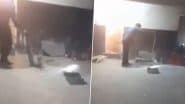 Viral Video: हैदराबाद के संध्या थिएटर की पार्किंग में दिखाई दिया सांप, सर्पमित्रों ने किया रेस्क्यू, सोशल मीडिया पर वीडियो आया सामने