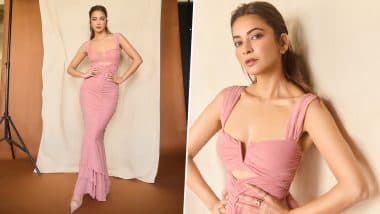 Kriti Kharbanda का पिंक कटआउट ड्रेस में दिखा स्टनिंग अवतार, Pulkit Samrat बोले - 'Trophy' (View Pics)
